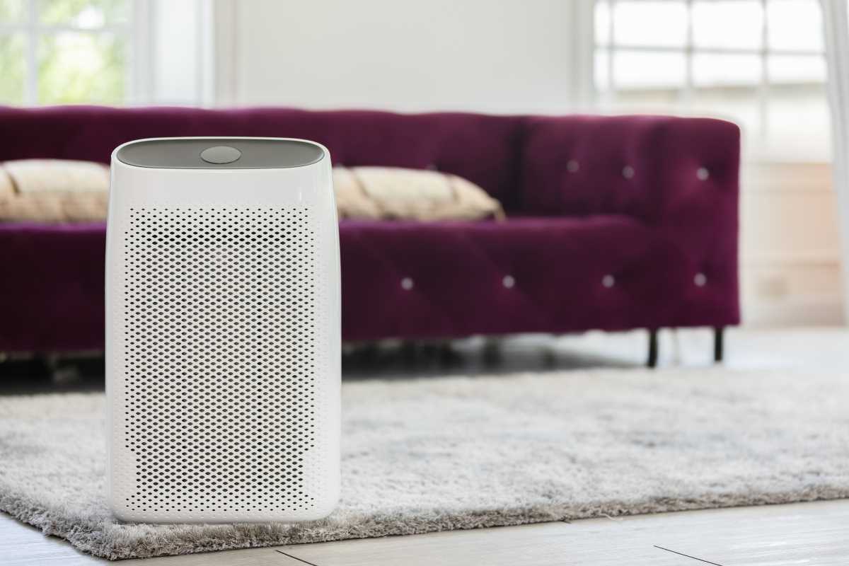 The Best Air Purifiers for Homes with Kids and Pets